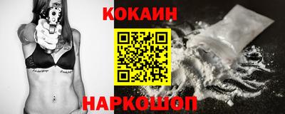 стафф Кингисепп
