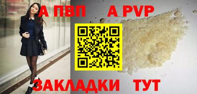 стафф Кингисепп