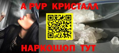 стафф Кингисепп
