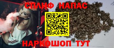 стафф Кингисепп