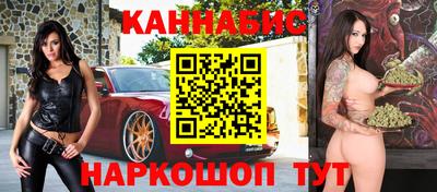 стафф Кингисепп