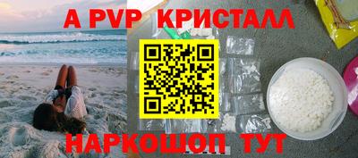 стафф Кингисепп
