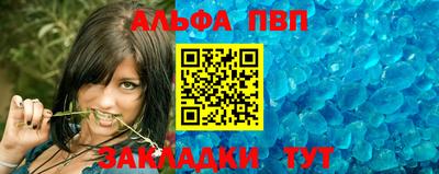 стафф Кингисепп