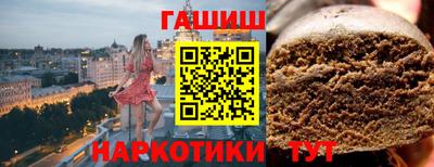 стафф Кингисепп
