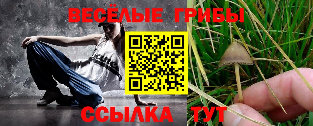 Псилоцибиновые грибы ЛСД Волоколамск