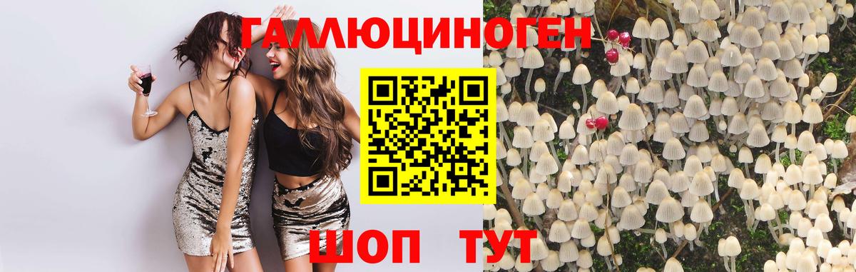 Волоколамск  Псилоцибиновые грибы Magic Shrooms  закладки  Вход с VPN 